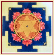 Saraswatiwflowers